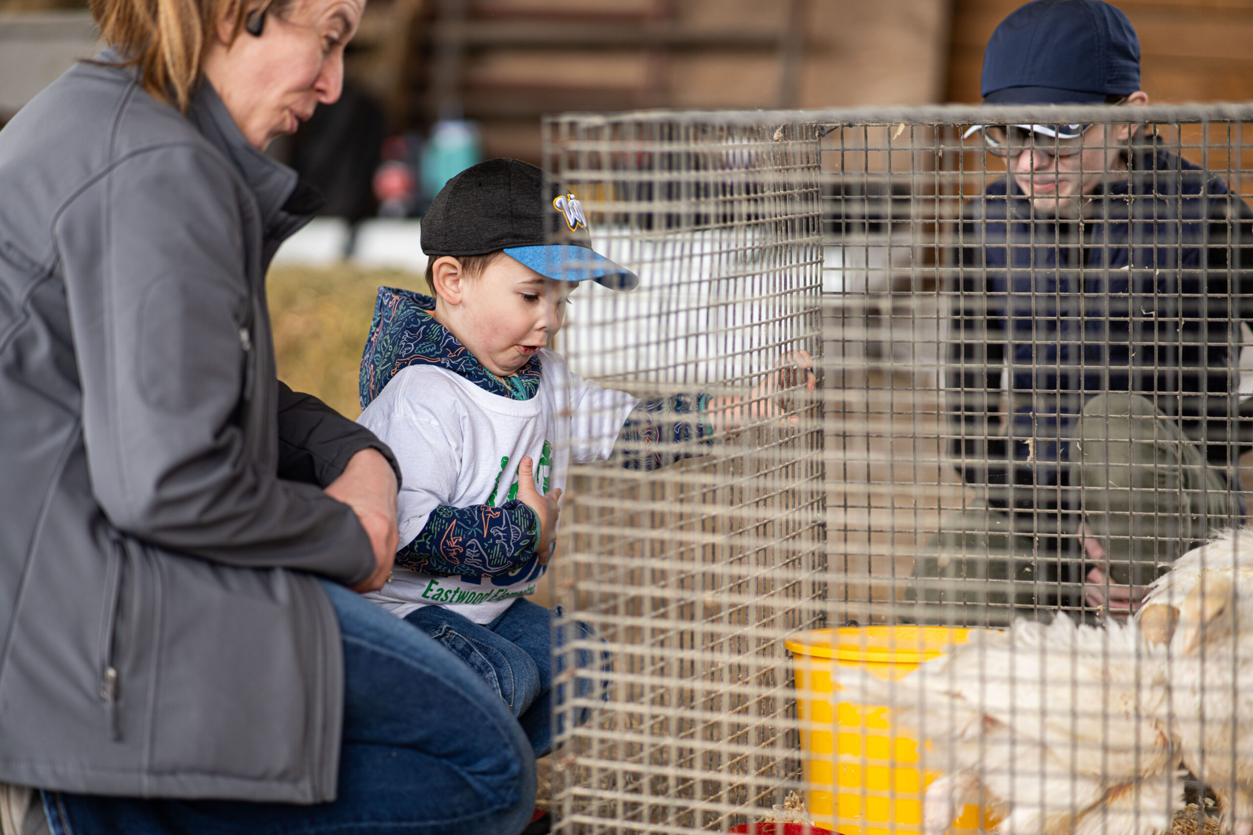 Crafts and farm animals help children to learn about food